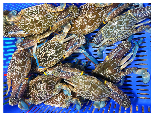 (HỘ KINH DOANH) LÊ THỊ BÉ NGOAN