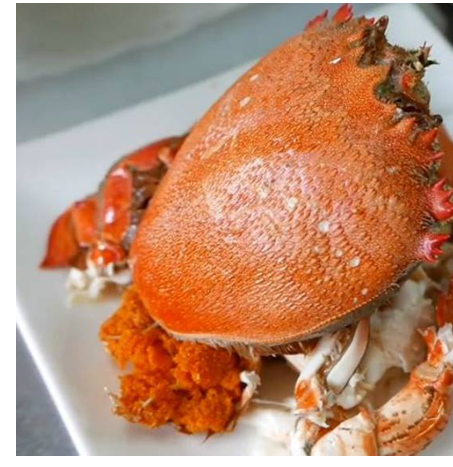 (HỘ KINH DOANH) LÊ THỊ BÉ NGOAN