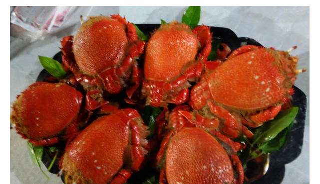 (HỘ KINH DOANH) LÊ THỊ BÉ NGOAN