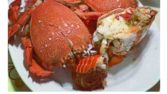 (HỘ KINH DOANH) LÊ THỊ BÉ NGOAN