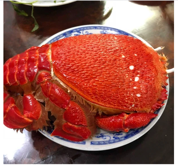 (HỘ KINH DOANH) LÊ THỊ BÉ NGOAN