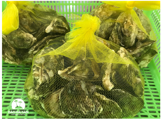(HỘ KINH DOANH) LÊ THỊ BÉ NGOAN