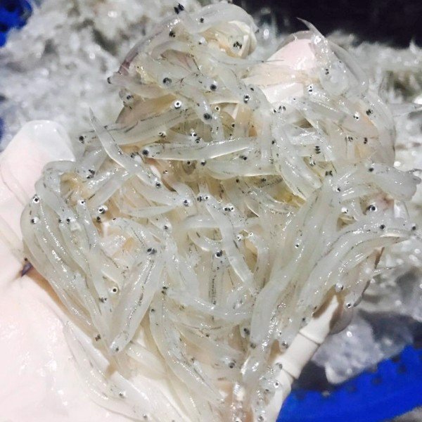 (HỘ KINH DOANH) LÊ THỊ BÉ NGOAN