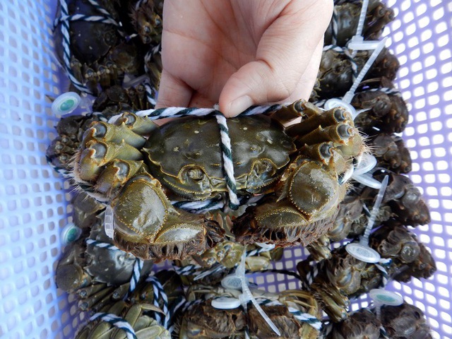 (HỘ KINH DOANH) LÊ THỊ BÉ NGOAN