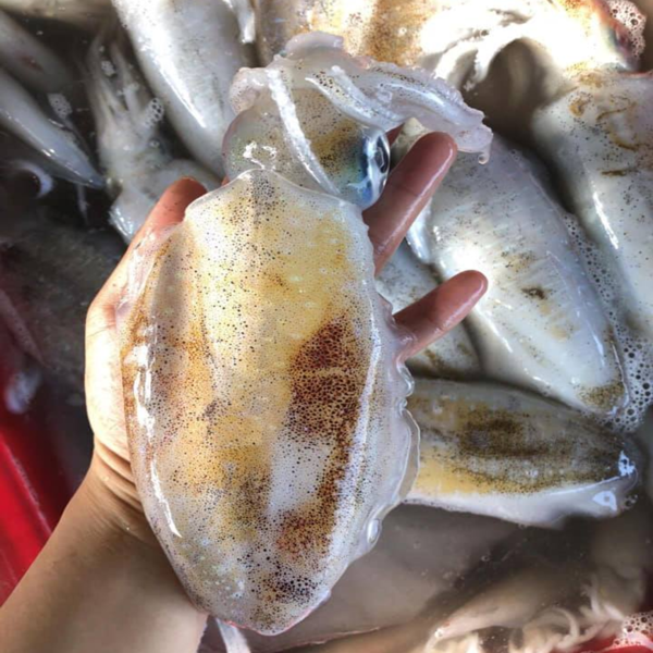 (HỘ KINH DOANH) LÊ THỊ BÉ NGOAN