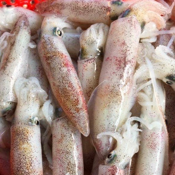 (HỘ KINH DOANH) LÊ THỊ BÉ NGOAN