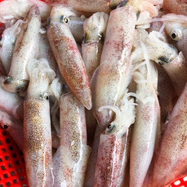 (HỘ KINH DOANH) LÊ THỊ BÉ NGOAN