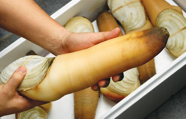 (HỘ KINH DOANH) LÊ THỊ BÉ NGOAN