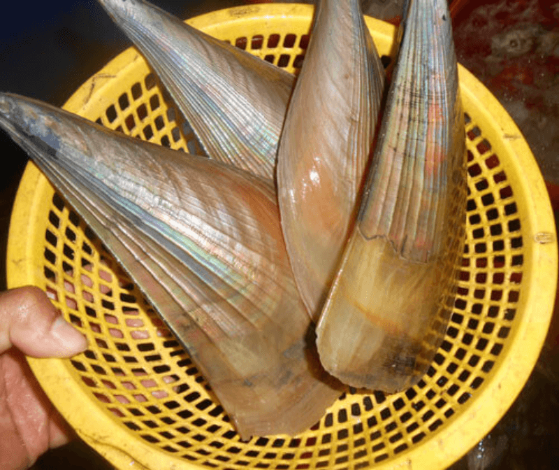 (HỘ KINH DOANH) LÊ THỊ BÉ NGOAN