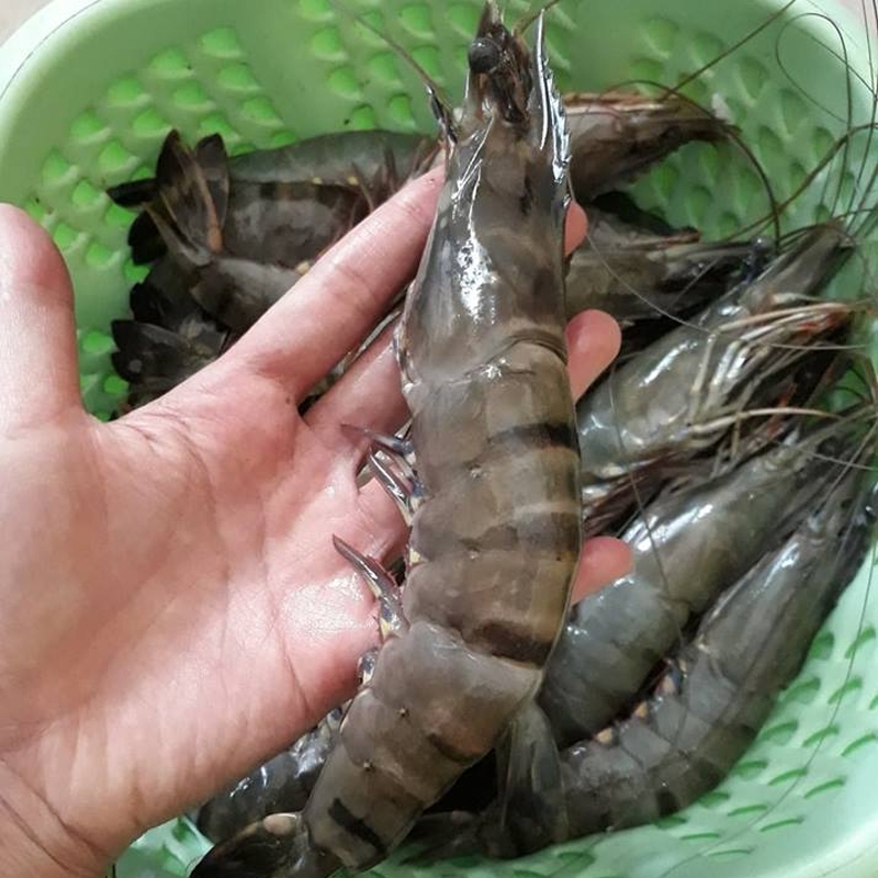 (HỘ KINH DOANH) LÊ THỊ BÉ NGOAN