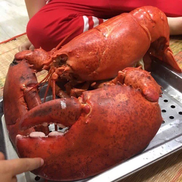 (HỘ KINH DOANH) LÊ THỊ BÉ NGOAN